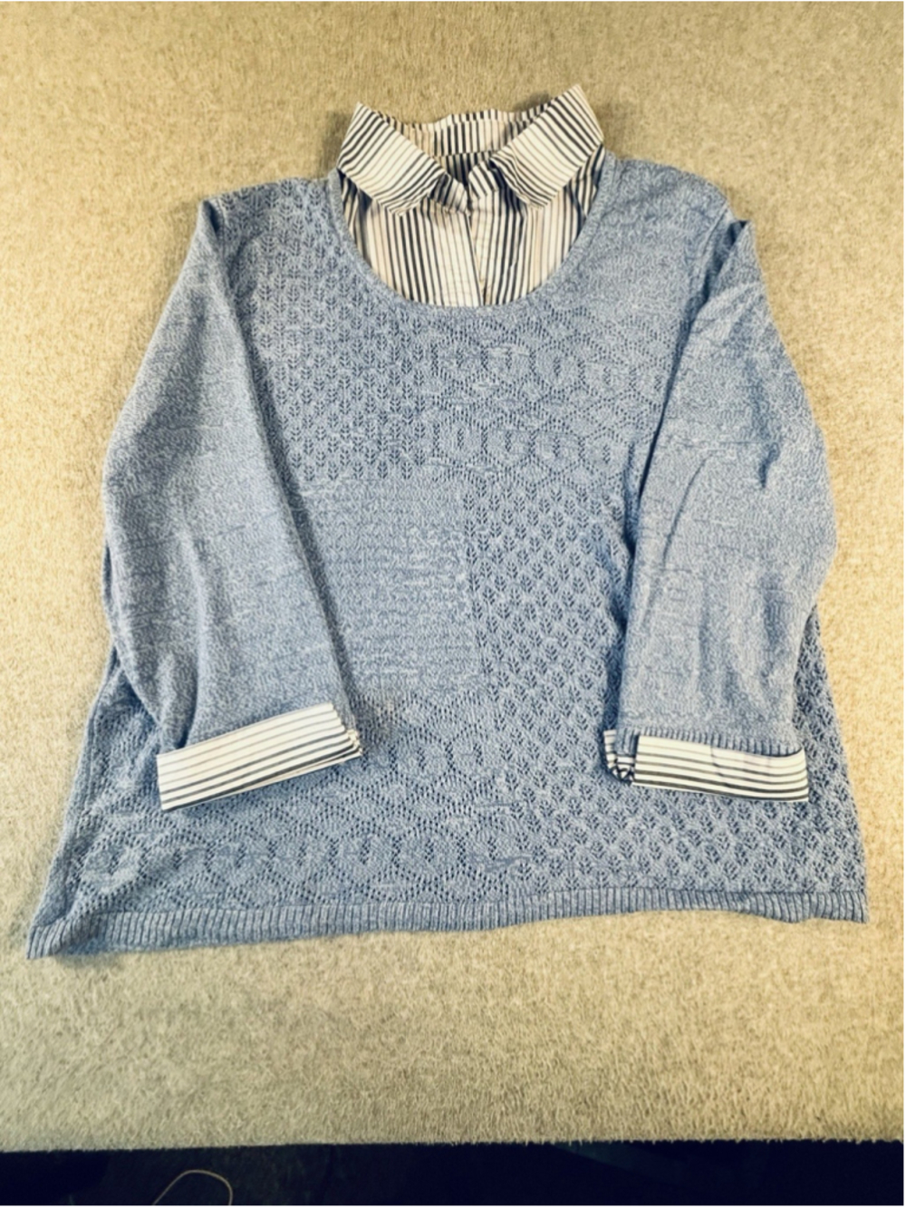 Alfred Dunner Women’s Large Blue Twofer Sweater Striped Collar Layered Look